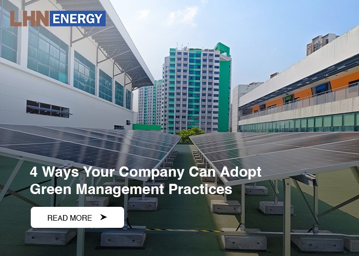 4 Ways Your Company Can Adopt Green Management Practices
