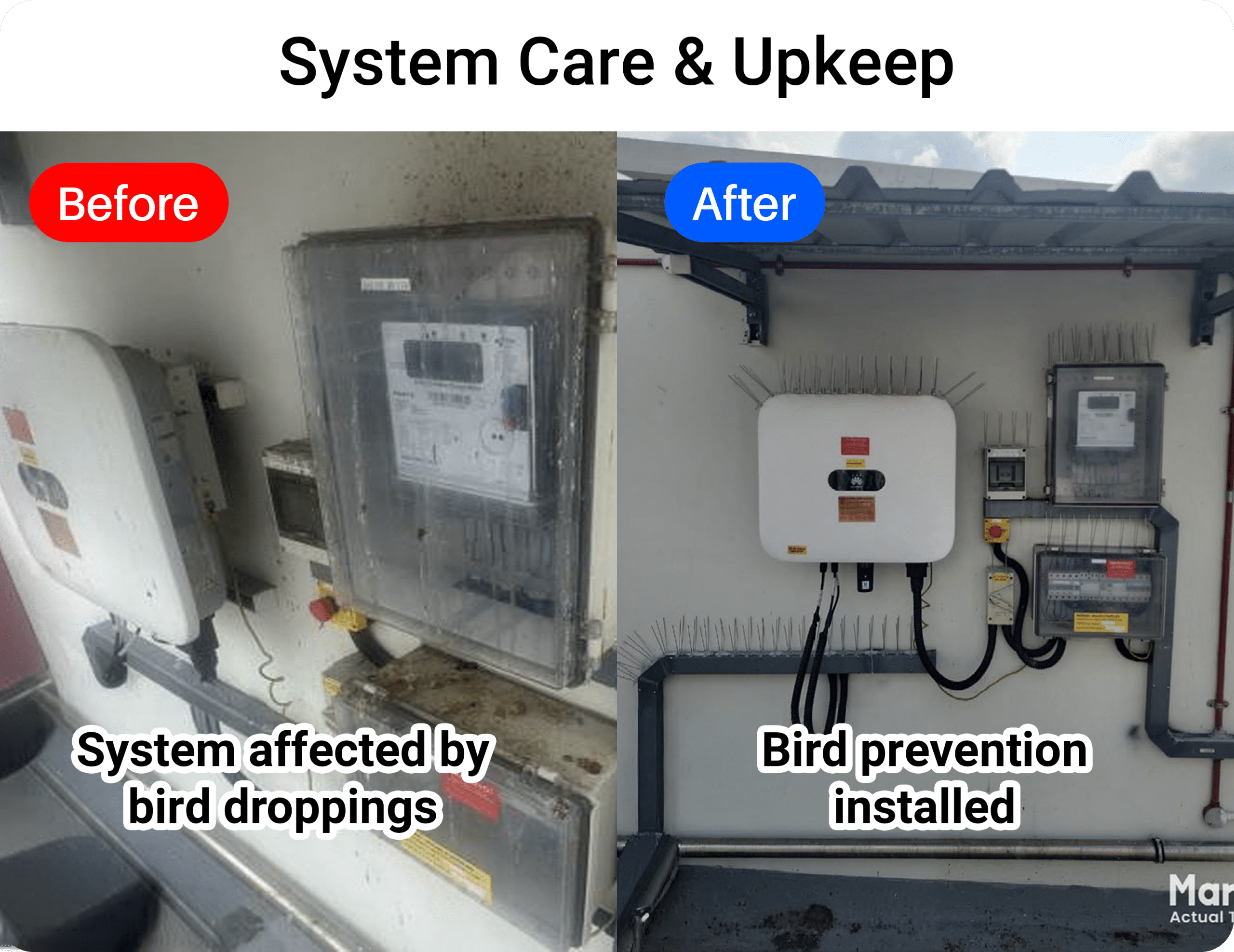 System Care & Upkeep